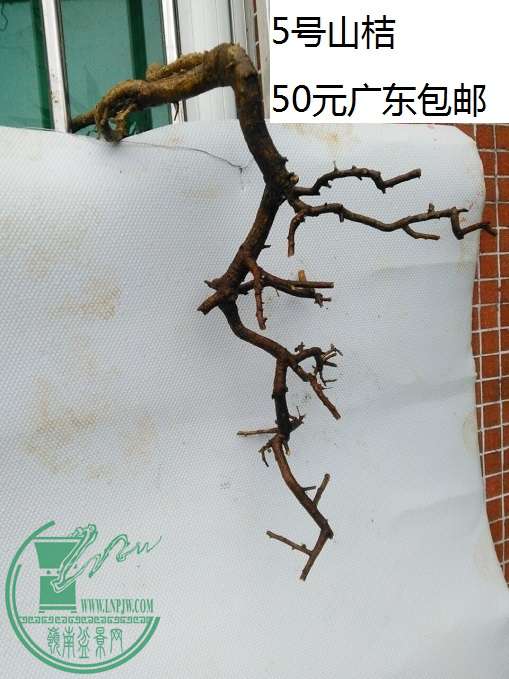 QQͼƬ20160419195954.jpg