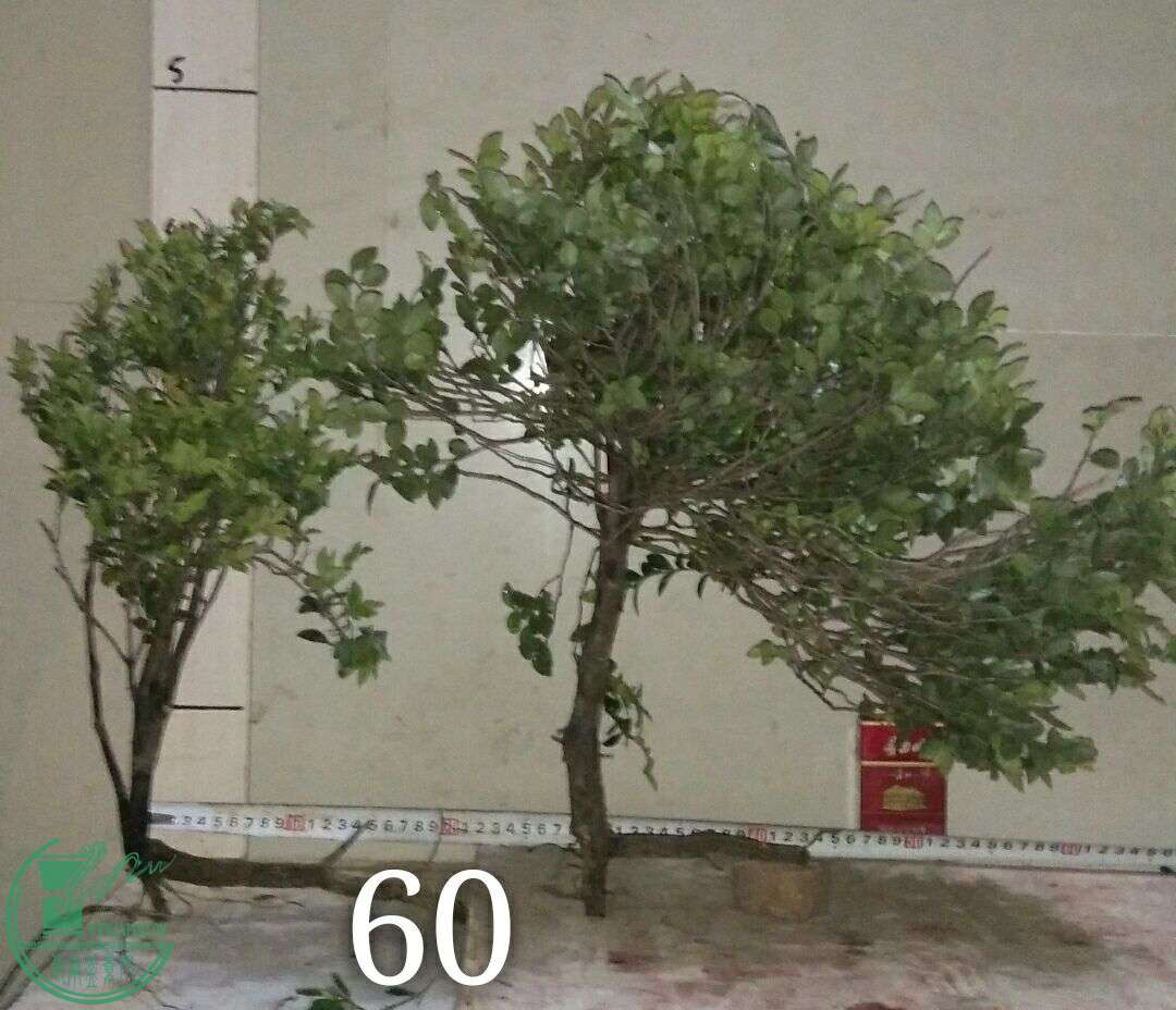 QQͼƬ20160419202027.jpg