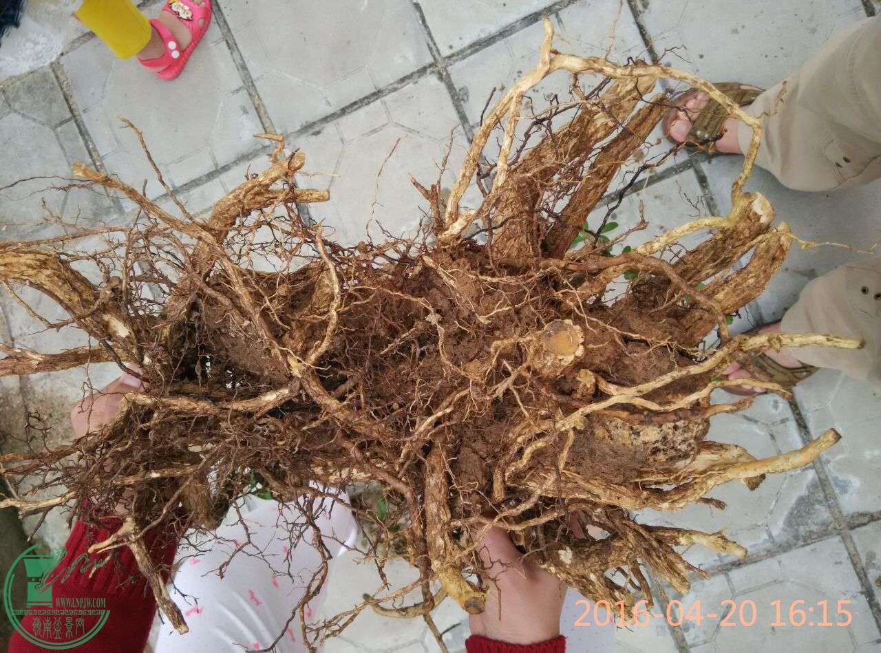 QQͼƬ20160420174639.jpg