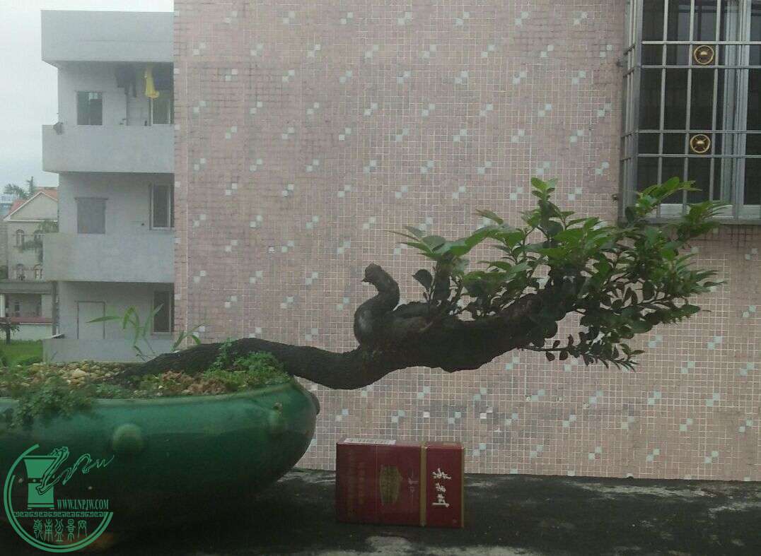 QQͼƬ20160420193811.jpg