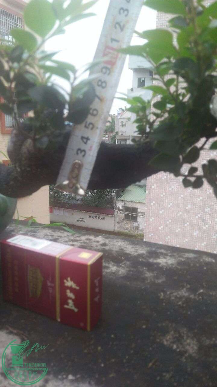 QQͼƬ20160420193805.jpg