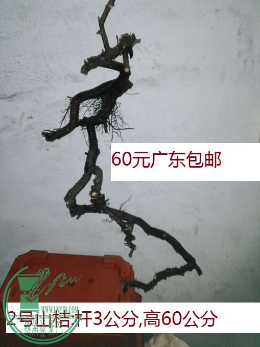 QQͼƬ20160420211448.jpg