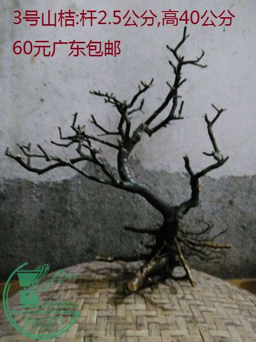 QQͼƬ20160420211506.jpg