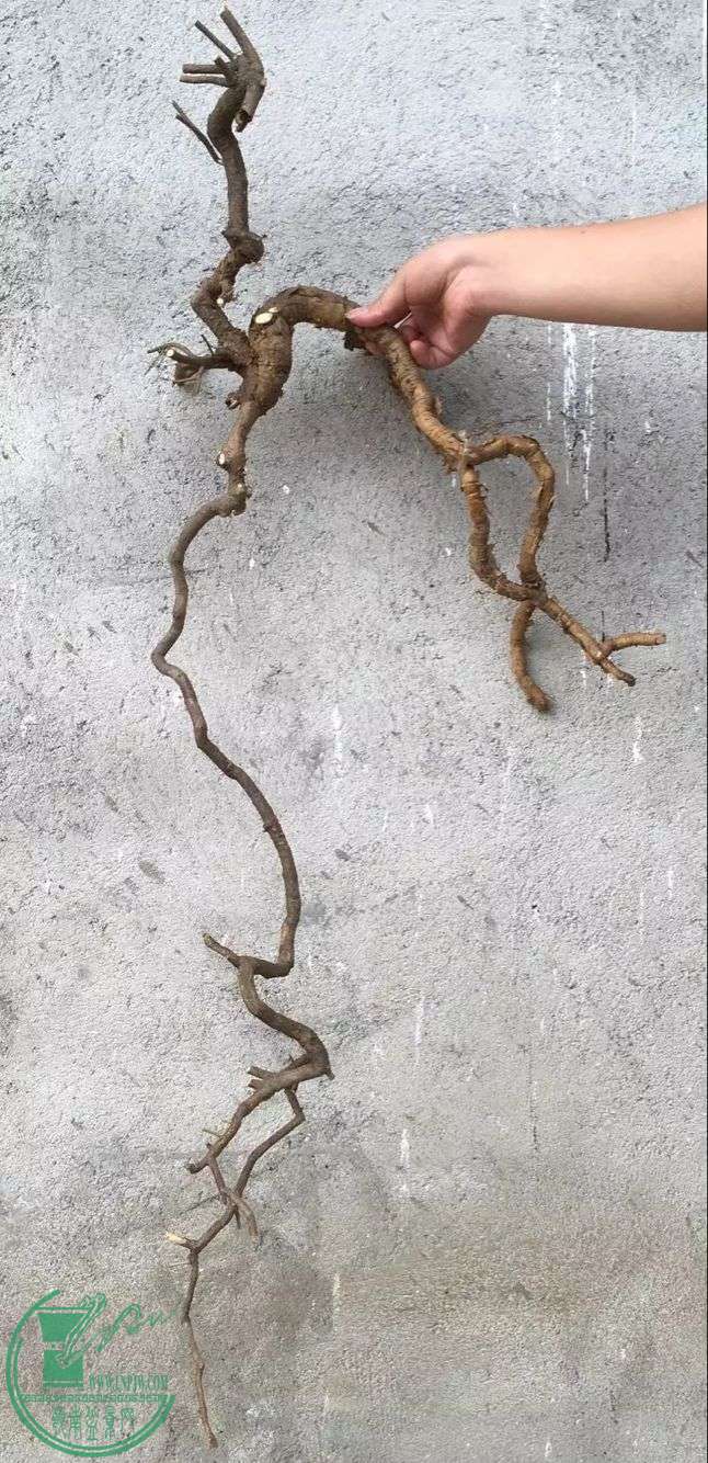 image.jpeg