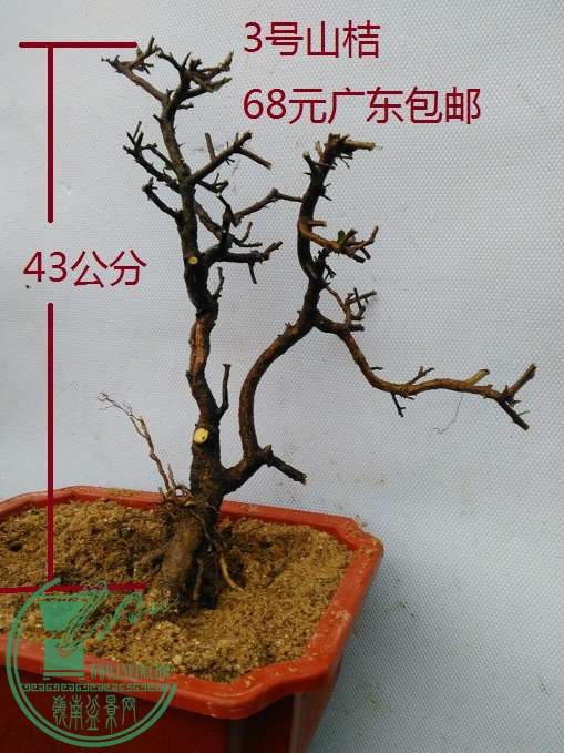 QQͼƬ20160421185315.jpg