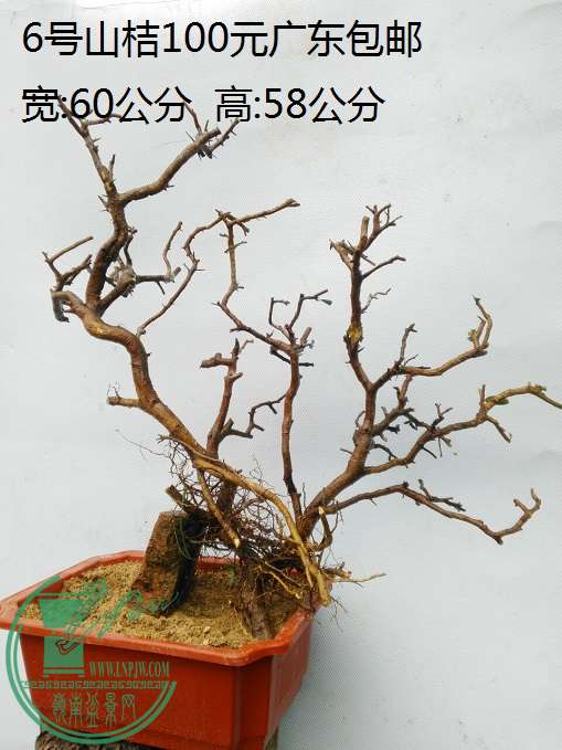 QQͼƬ20160421185436.jpg