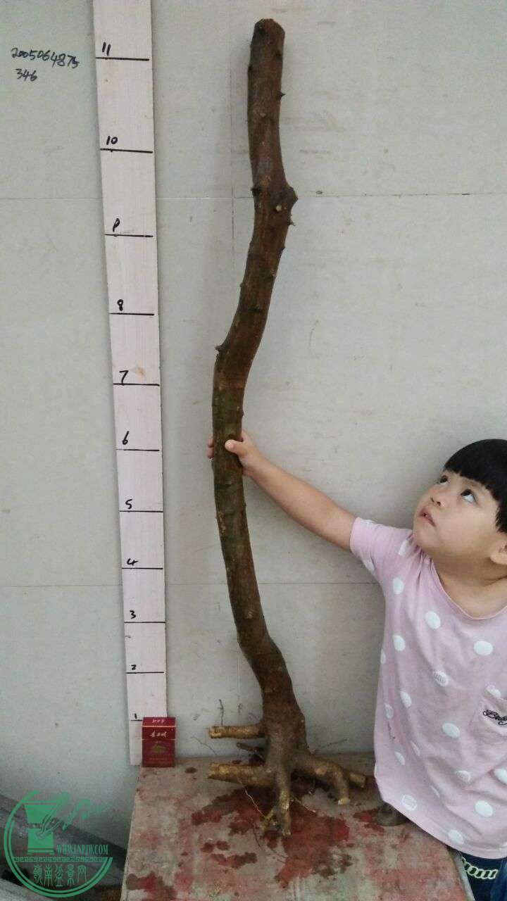 QQͼƬ20160421192151.jpg
