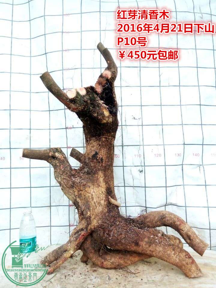 QQͼƬ20160421211630_.jpg