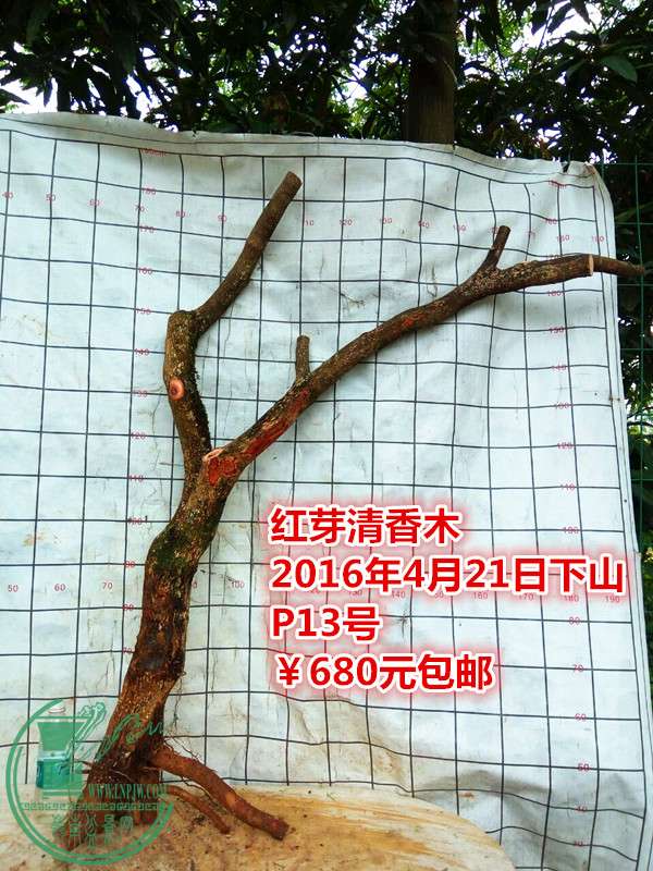 QQͼƬ20160421211722_.jpg