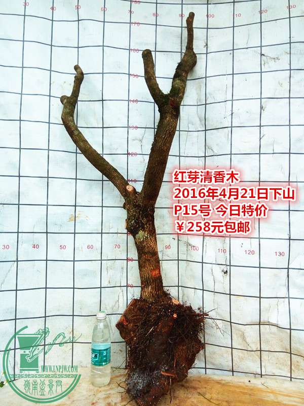 QQͼƬ20160421211746_.jpg