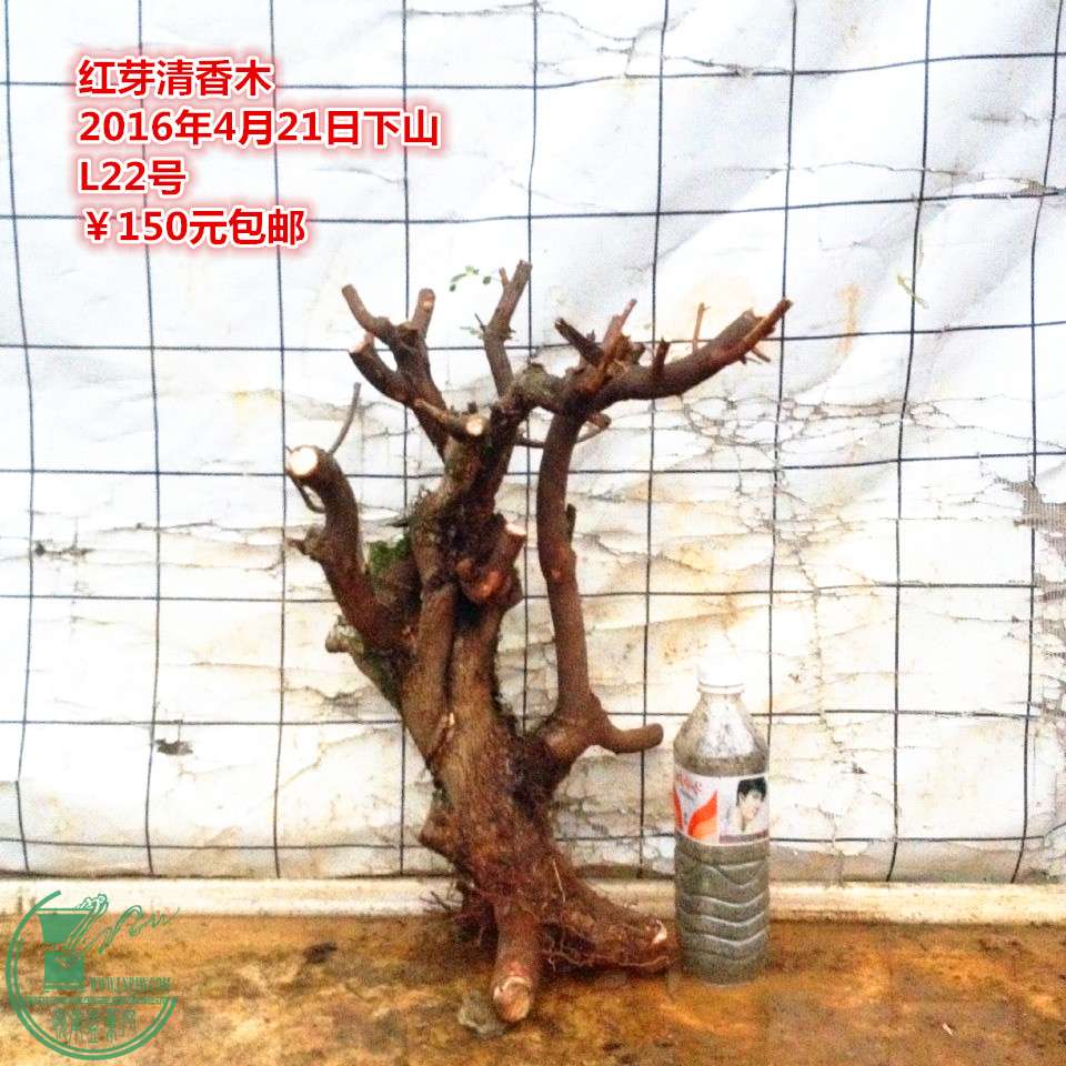 QQͼƬ20160421212031_.jpg