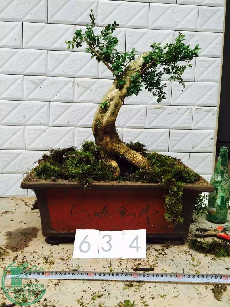 634.jpg