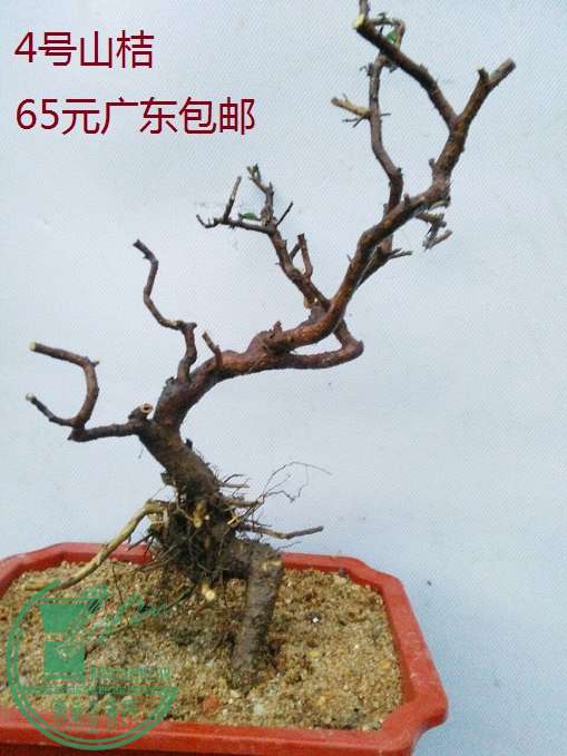 QQͼƬ20160422200340.jpg