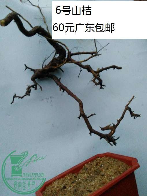 QQͼƬ20160422200437.jpg