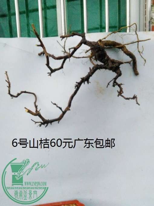 QQͼƬ20160422200449.jpg