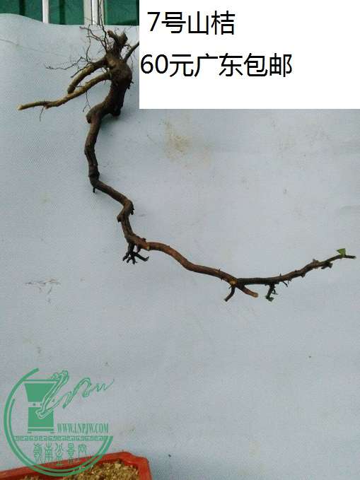 QQͼƬ20160422200457.jpg