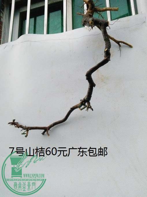 QQͼƬ20160422200506.jpg