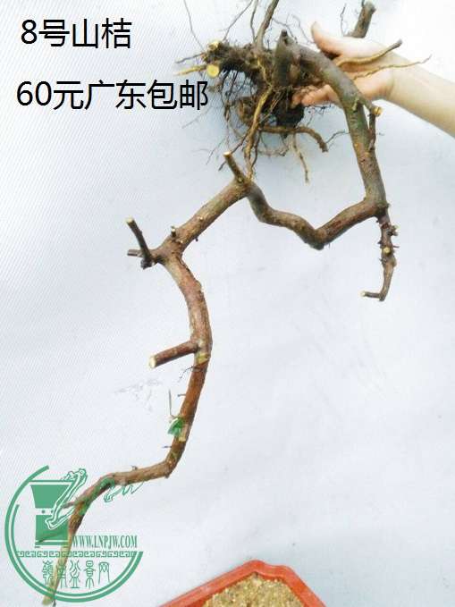 QQͼƬ20160422200520.jpg