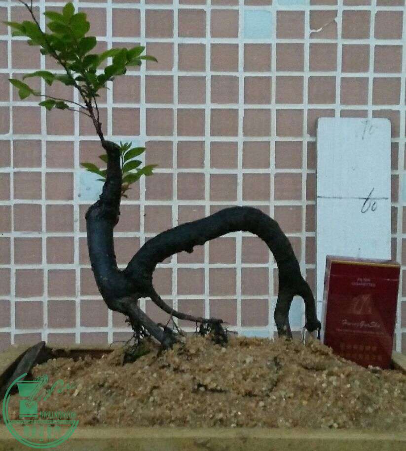 QQͼƬ20160422212751.jpg