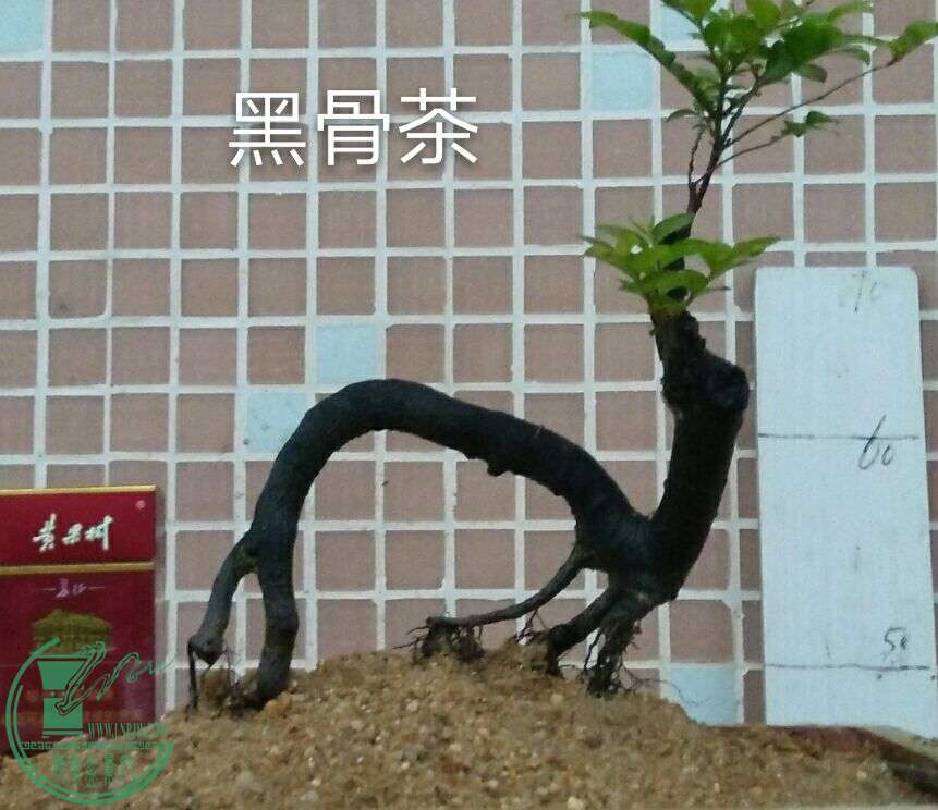 QQͼƬ20160422212730.jpg