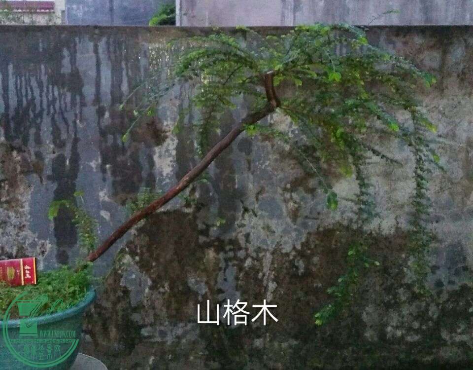 QQͼƬ20160422212713.jpg