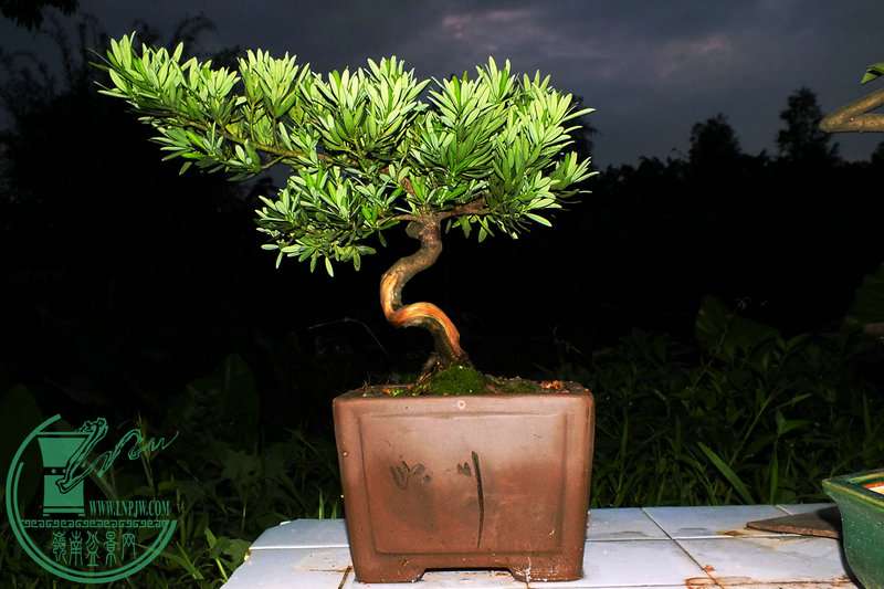 DSCF2786.JPG