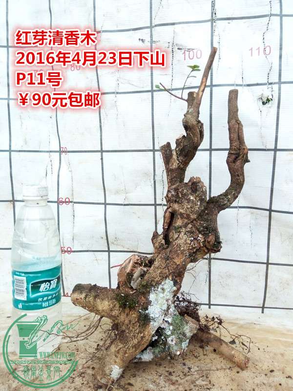 QQͼƬ20160423201621_.jpg
