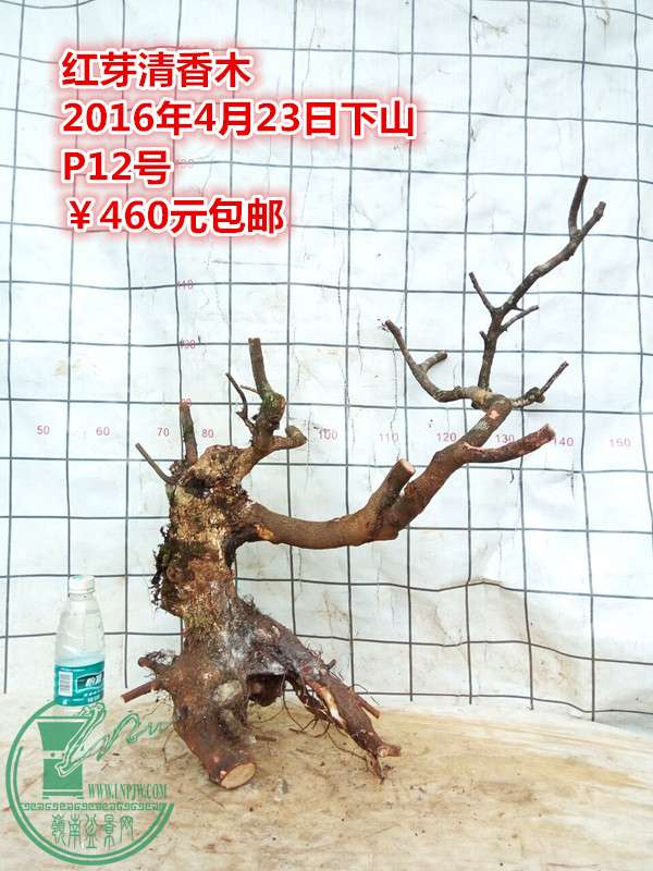 QQͼƬ20160423201631_.jpg