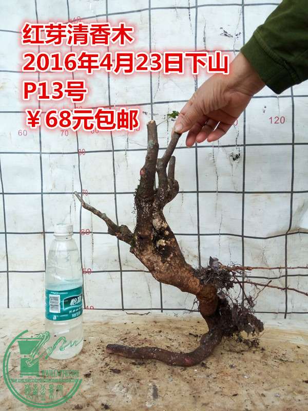 QQͼƬ20160423201653_.jpg