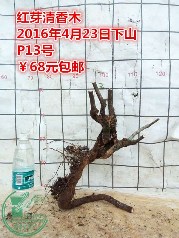QQͼƬ20160423201707_.jpg
