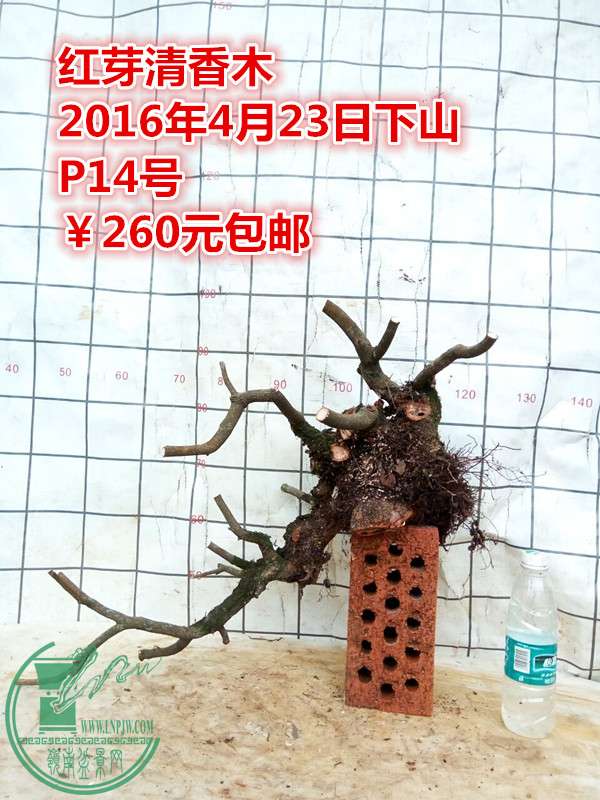 QQͼƬ20160423201714_.jpg