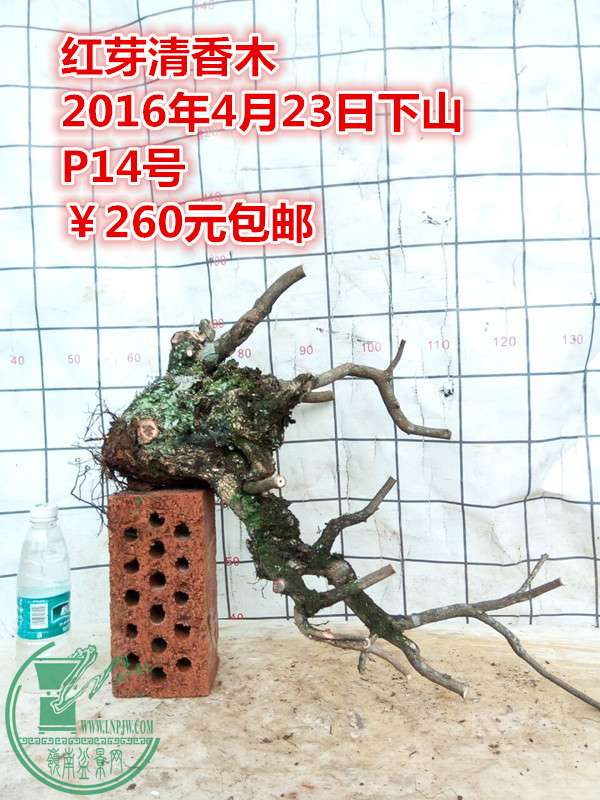 QQͼƬ20160423201719_.jpg