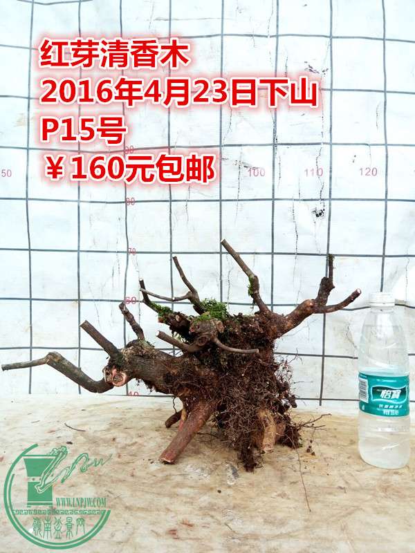 QQͼƬ20160423201724_.jpg