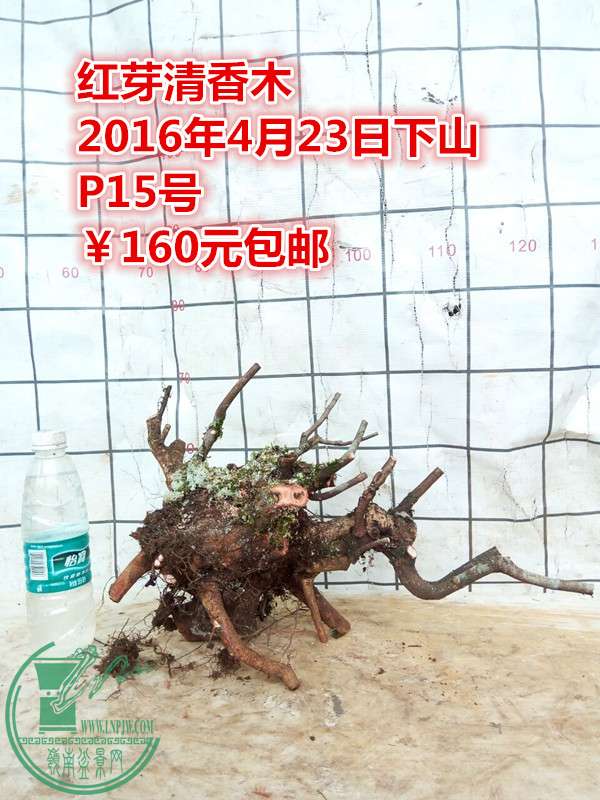 QQͼƬ20160423201735_.jpg