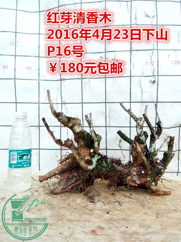 QQͼƬ20160423201742_.jpg