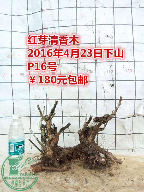 QQͼƬ20160423201754_.jpg
