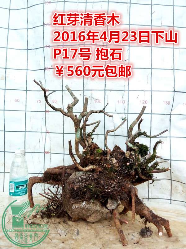 QQͼƬ20160423201800_.jpg