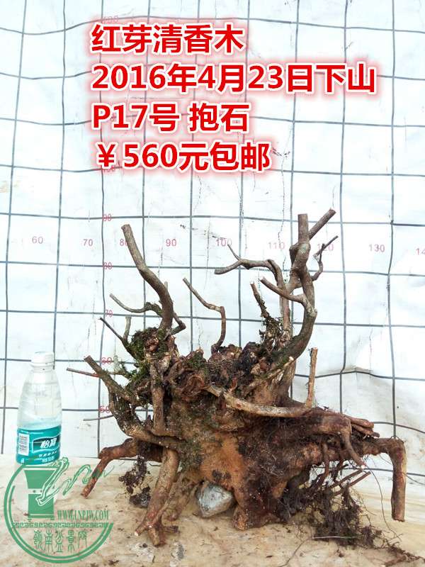 QQͼƬ20160423201807_.jpg