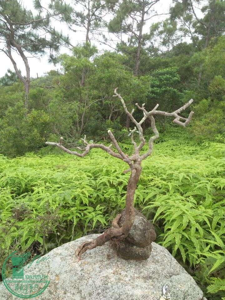 QQͼƬ20160423204828.jpg