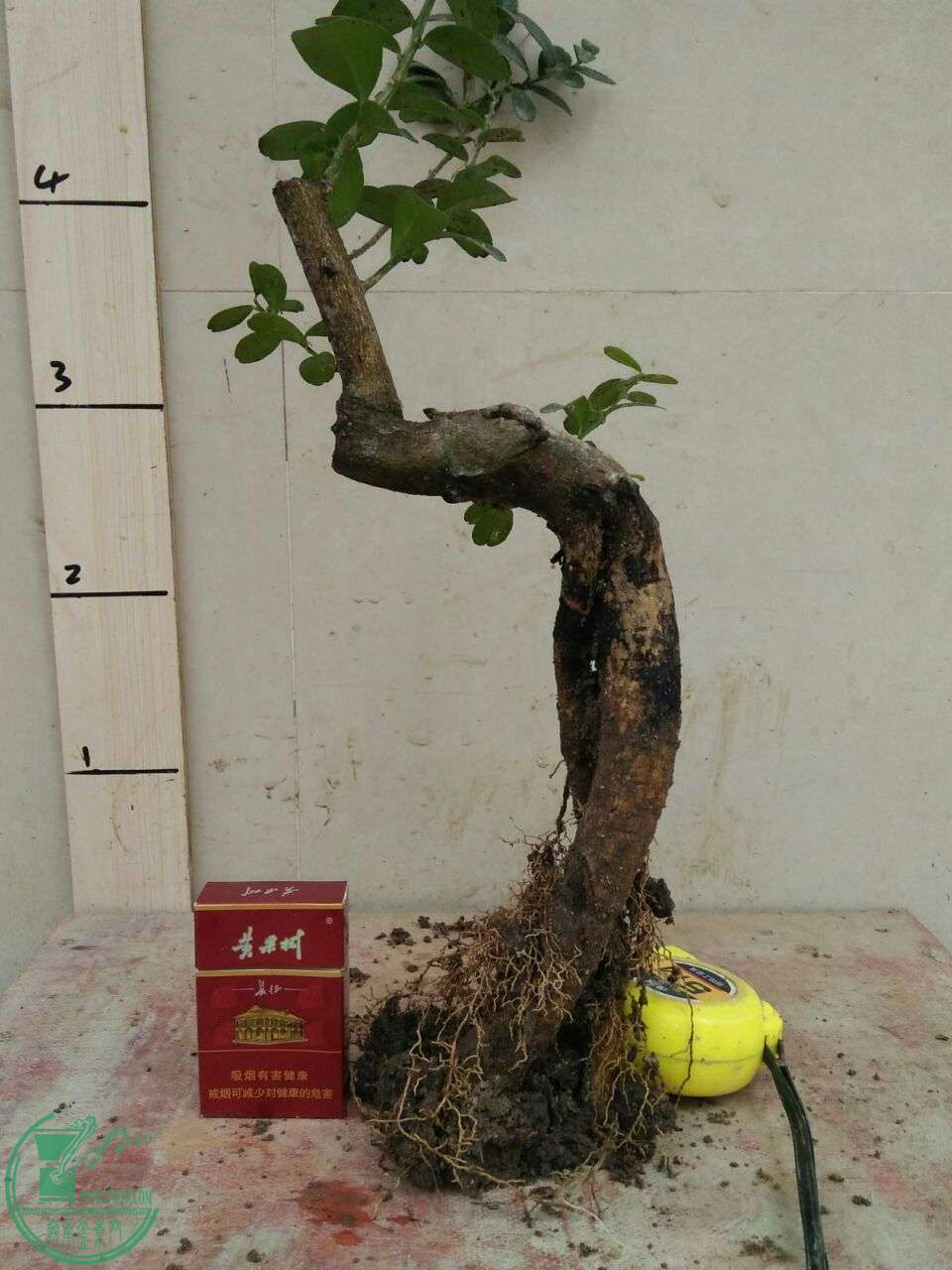 QQͼƬ20160424200038.jpg