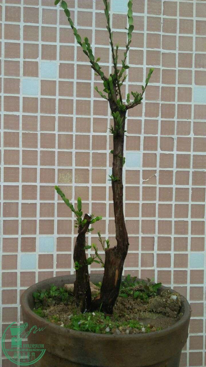 QQͼƬ20160424200004.jpg