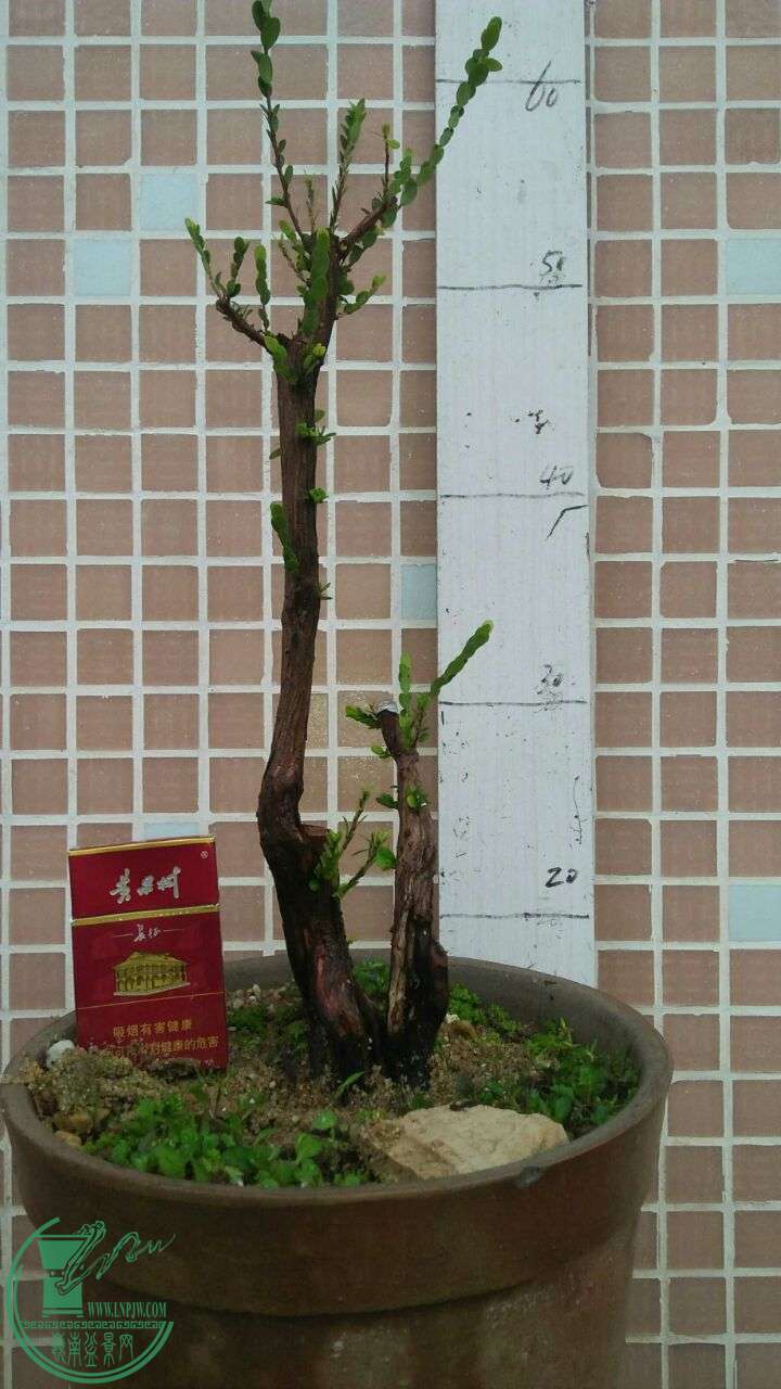 QQͼƬ20160424200014.jpg