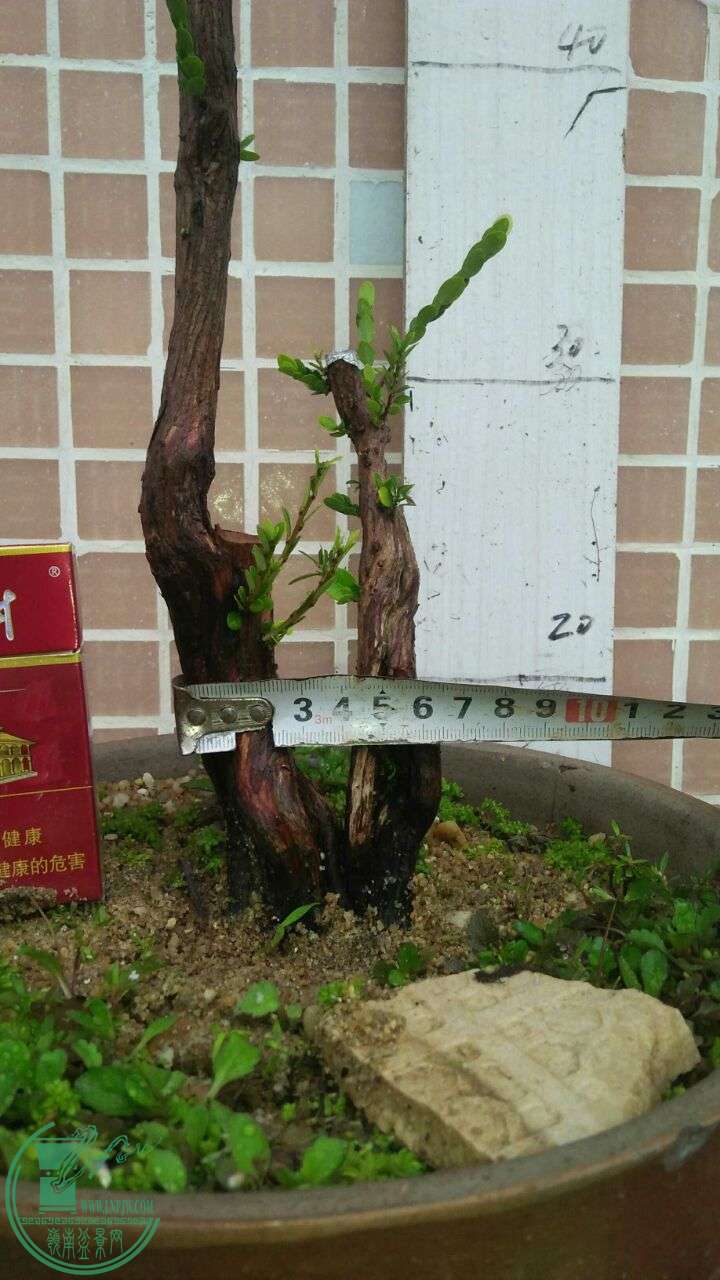 QQͼƬ20160424200020.jpg