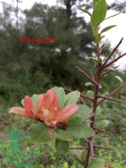 P60423-144838_.jpg