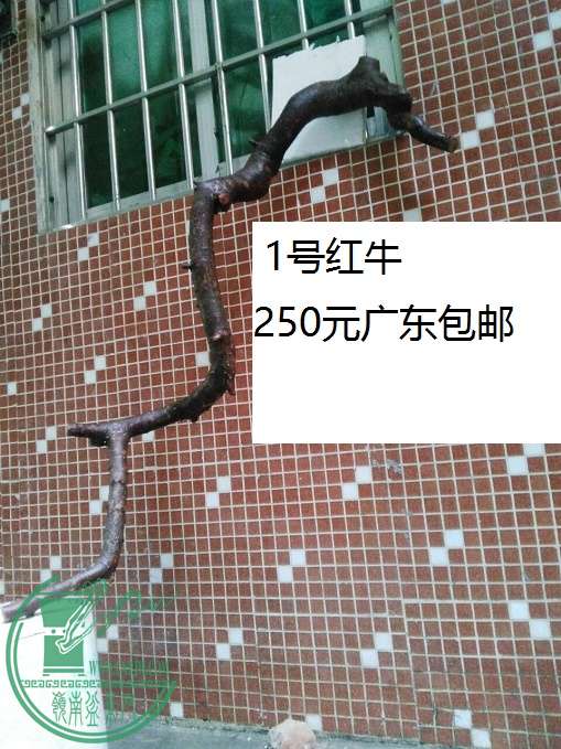 QQͼƬ20160425202159.jpg