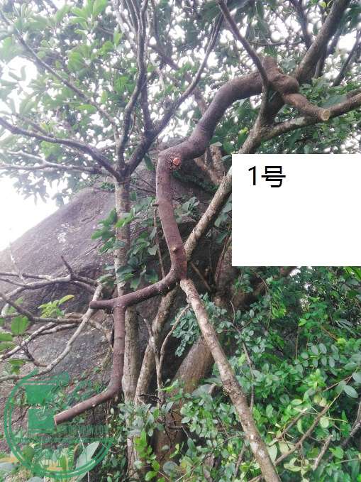 QQͼƬ20160425202328.jpg