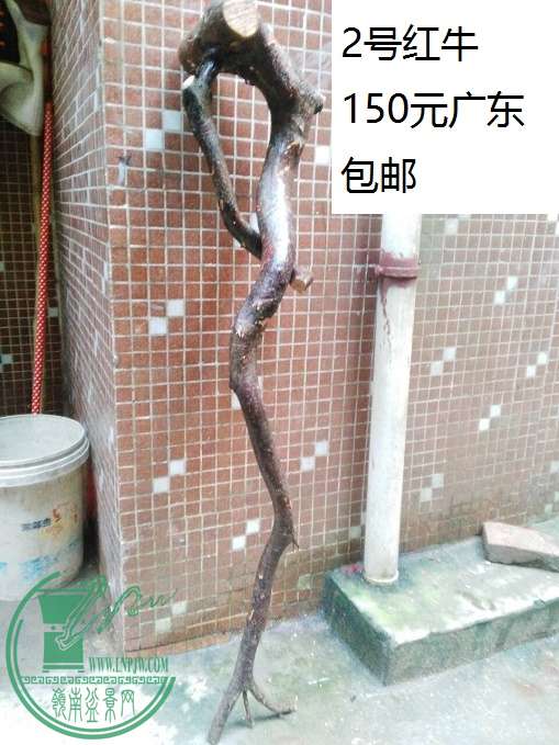 QQͼƬ20160425202414.jpg