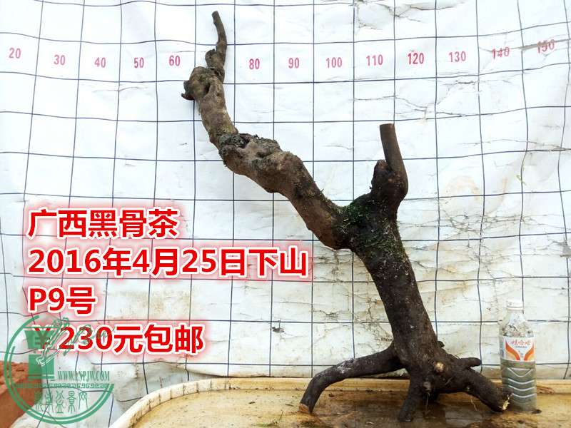 QQͼƬ20160425203841_.jpg
