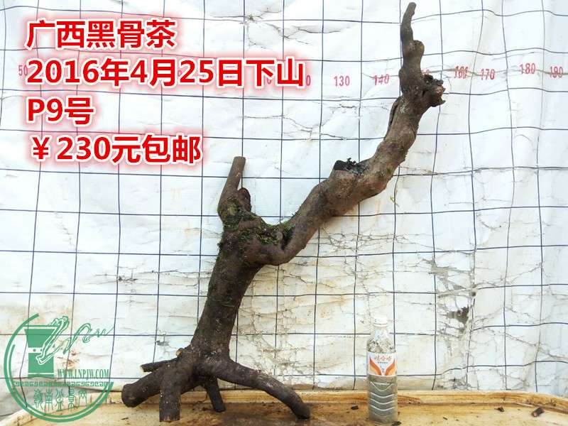 QQͼƬ20160425203847_.jpg