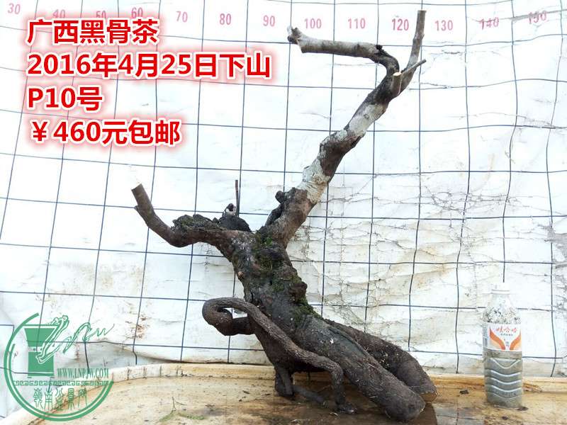 QQͼƬ20160425203855_.jpg